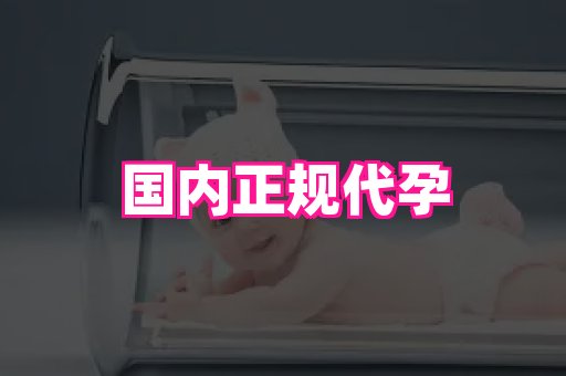 福建助孕网 1