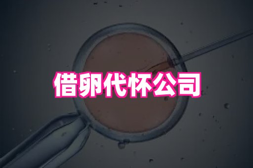 福建助孕网 2