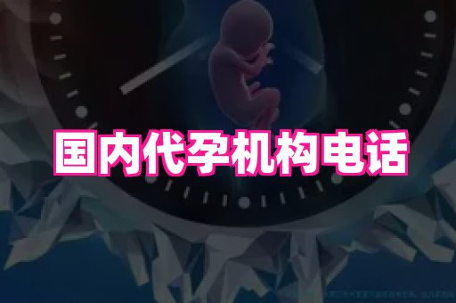 福建助孕网 3